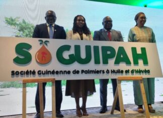 Relance de la SOGUIPAH : Le géant guinéen de l’agro-industrie amorce sa mue vers la modernité