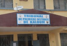TPI Kaloum : Un proche d’Ahmed Kanté dans le viseur de la justice pour outrage sur les réseaux sociaux