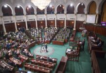 Réforme du Code de la nationalité en Tunisie : naturalisation, apatridie, ce qui pourrait changer