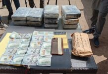 Guinée : importante saisie de cocaïne et de 9 500 dollars, deux réseaux de trafic démantelés par les services spéciaux