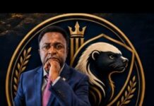 La vision minière du Dr. David Makongo pour le Cameroun : De l’extraction de l’or à l’industrialisation nationale